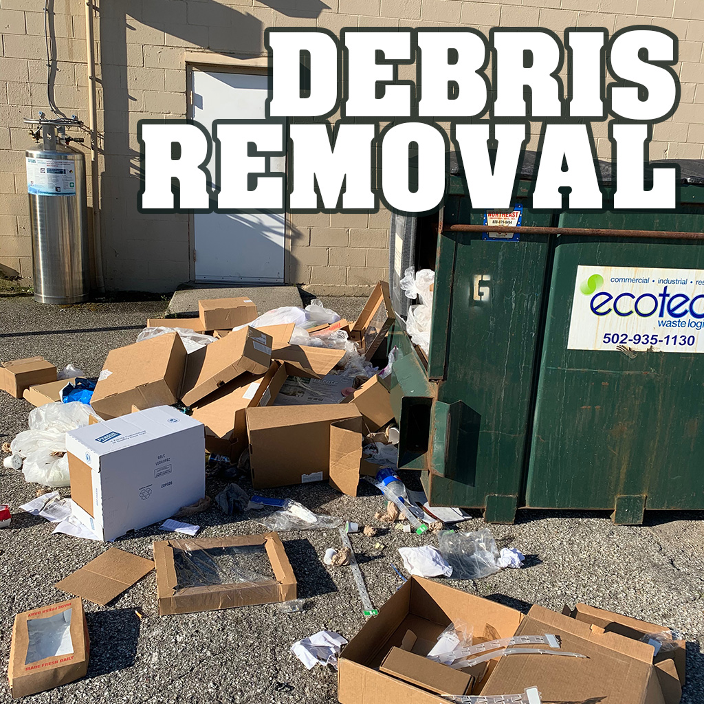 Read more about the article Empower Your Business with Regular Bulk Item Disposal